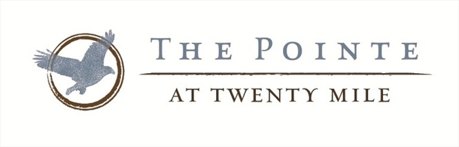 Nocatee The Pointe at Twenty Mile Logo